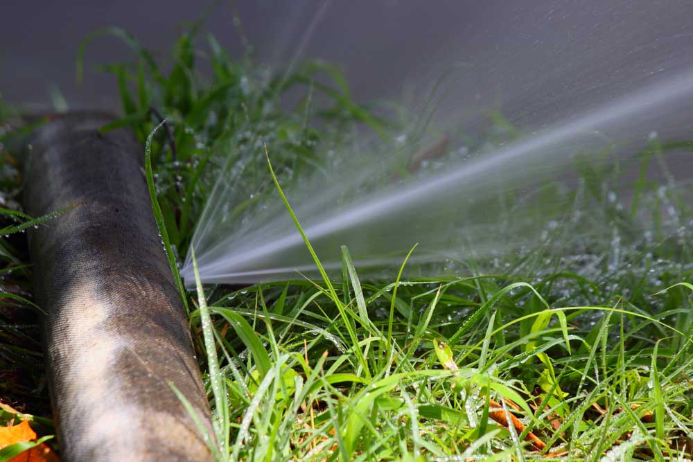 leaking pipe or sewer line