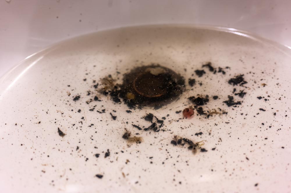 clogged drain