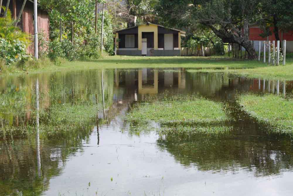 flooded yard flooded yard